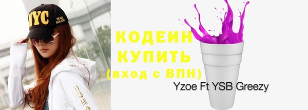ГАЛЛЮЦИНОГЕННЫЕ ГРИБЫ Ладушкин