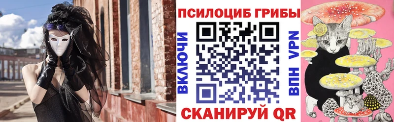 Галлюциногенные грибы Psilocybine cubensis Суворов